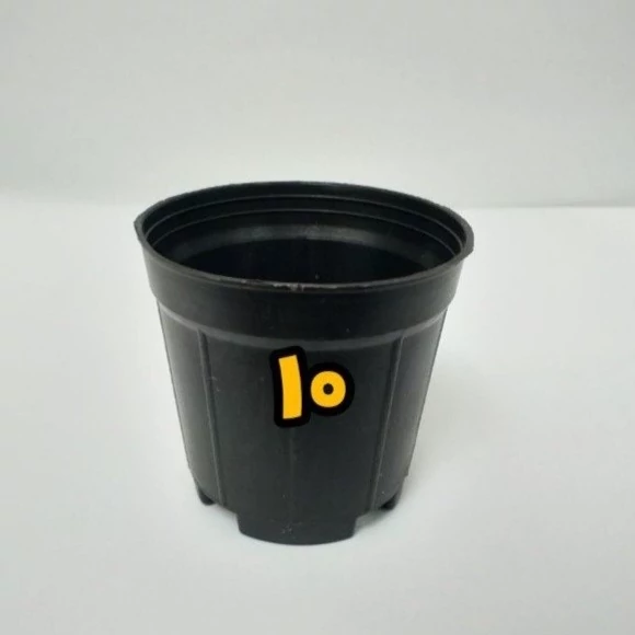تصویر 1 از قیمت گلدان پلاستیکی سایز 10 بسته 10 تایی درجه یک